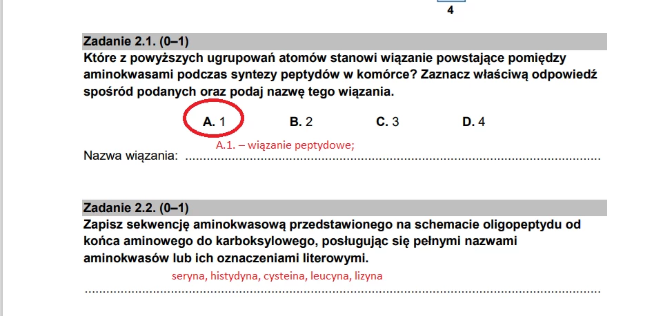 Arkusz maturalny 2022 i odpowiedzi z biologii - poziom rozszerzony