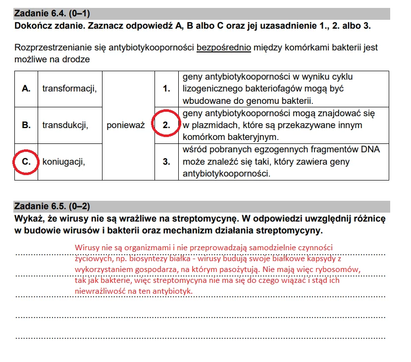 Arkusz i odpowiedzi. Matura 2022 biologia - poziom rozszerzony