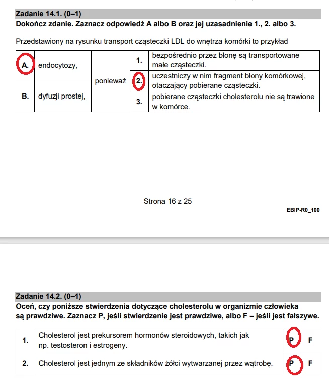 Matura 2022. Biologia - poziom rozszerzony. Arkusz CKE i odpowiedzi