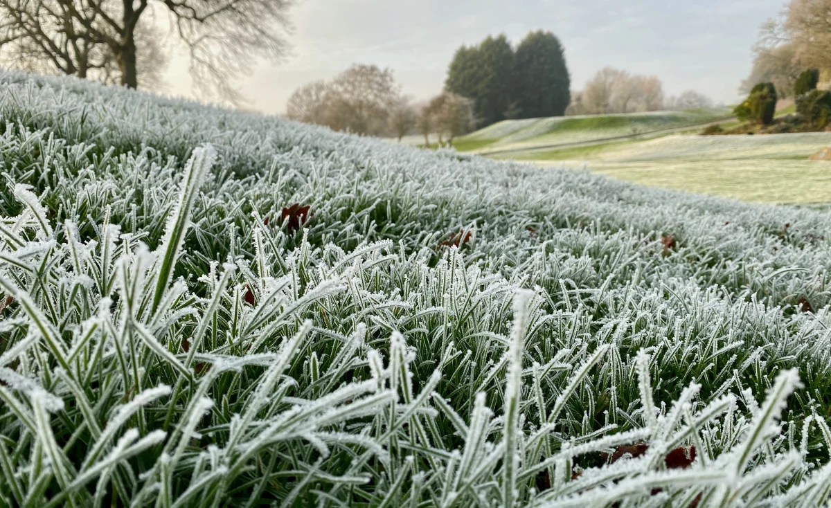 W piątek i sobotę czekają nas niewielkie opady deszczu, a na południu kraju możliwe słabe burze. Od poniedziałku natomiast należy się liczyć z napływem chłodnego powietrza. Jak to przy "zimnej Zośce", możliwe są przymrozki. 