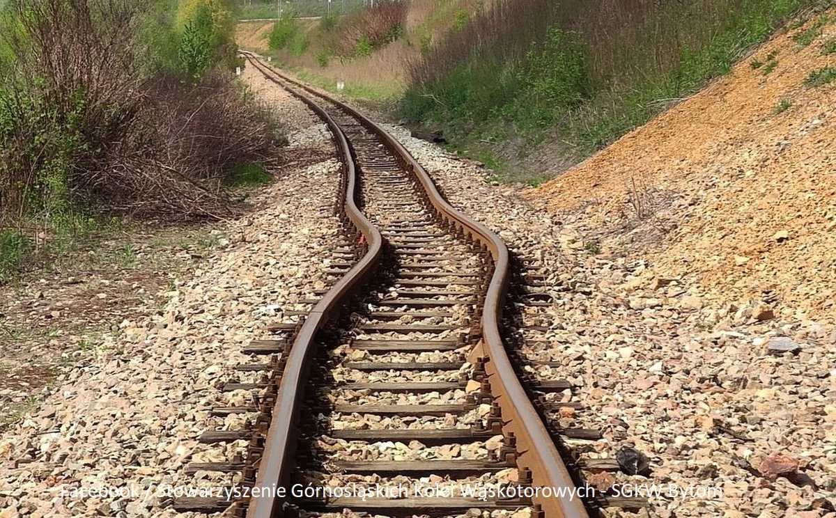 "Z powodu szkód górniczych które przyczyniły się do uszkodzenia naszego toru, jesteśmy zmuszeni odwołać wszystkie pociągi w najbliższy weekend (14-15 maja)" - informuje w mediach społecznościowych Stowarzyszenie Górnośląskich Kolei Wąskotorowych z Bytomia. Wąskotorówka informuje, że "w zakresie usuwania szkód górniczych na bieżąco współpracuje z odpowiednimi przedsiębiorstwami górniczymi".
