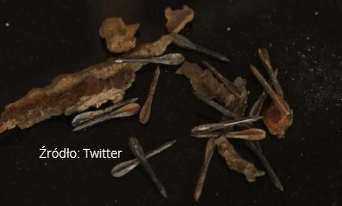 Rosjanie wystrzeliwali w domy w miejscowości Irpień pod Kijowem pociski z fleszetkami – przypominającymi gwoździe małymi, ostrymi rzutkami, stosowanymi na szeroką skalę w czasie I wojny światowej. „Są wszędzie” – mówią mieszkańcy miasta.