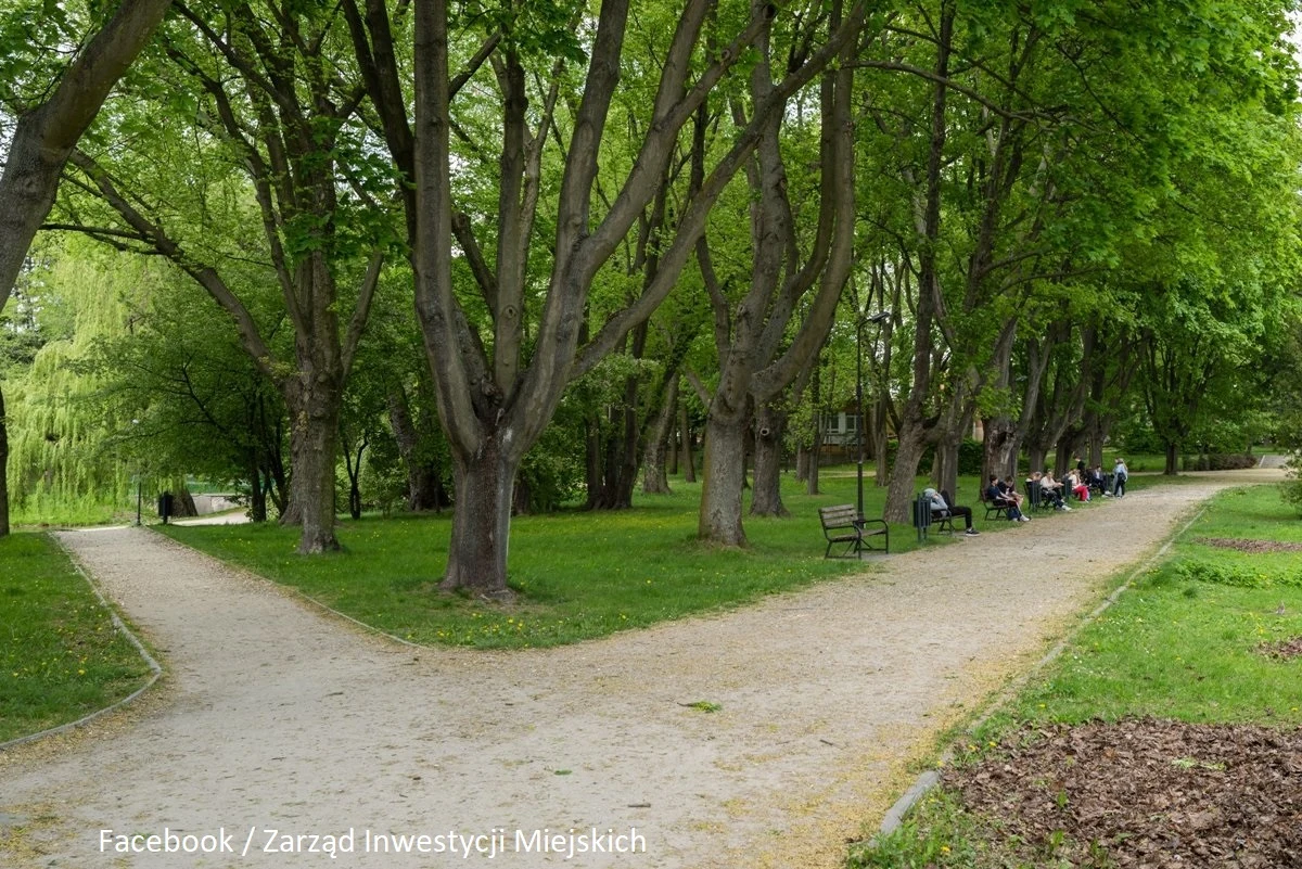 Piłkarzyki, trampolina i urządzenia wielofunkcyjne znajdą się na wyposażeniu planowanego sportowego placu zabaw dla najmłodszych, który jeszcze w tym roku powstanie w Parku Widzewskim w Łodzi. "Obecnie trwa etap projektowania, ale inwestor planuje, że robotników zobaczymy na placu budowy jeszcze w te wakacje" - informuje łódzki urząd miasta.