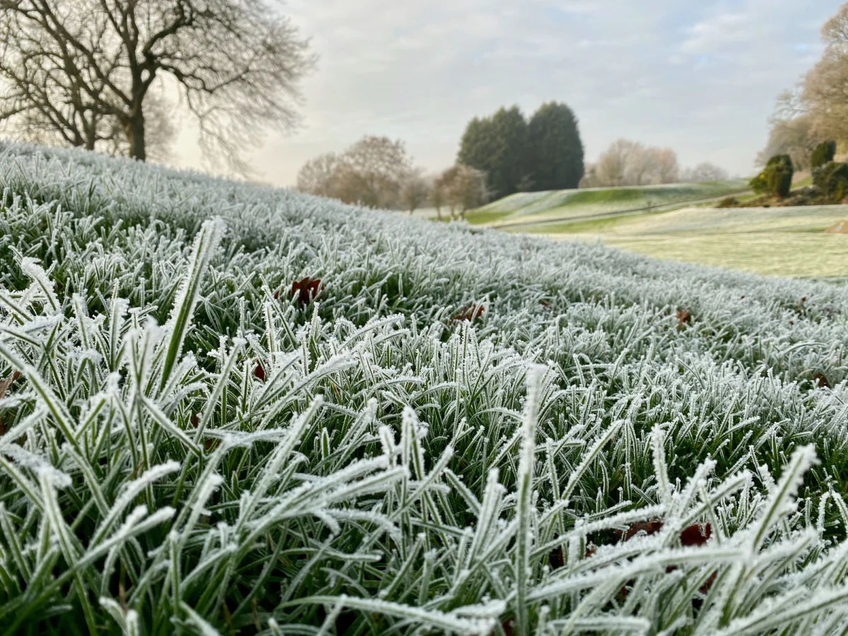 Instytut Meteorologii i Gospodarki Wodnej wydał ostrzeżenia o przymrozkach dla północno-wschodniej części kraju. Temperatura przy gruncie może spaść nawet do -5 stopni. To skutek fenomenu pogodowego nazywanego potocznie "zimną Zośką".