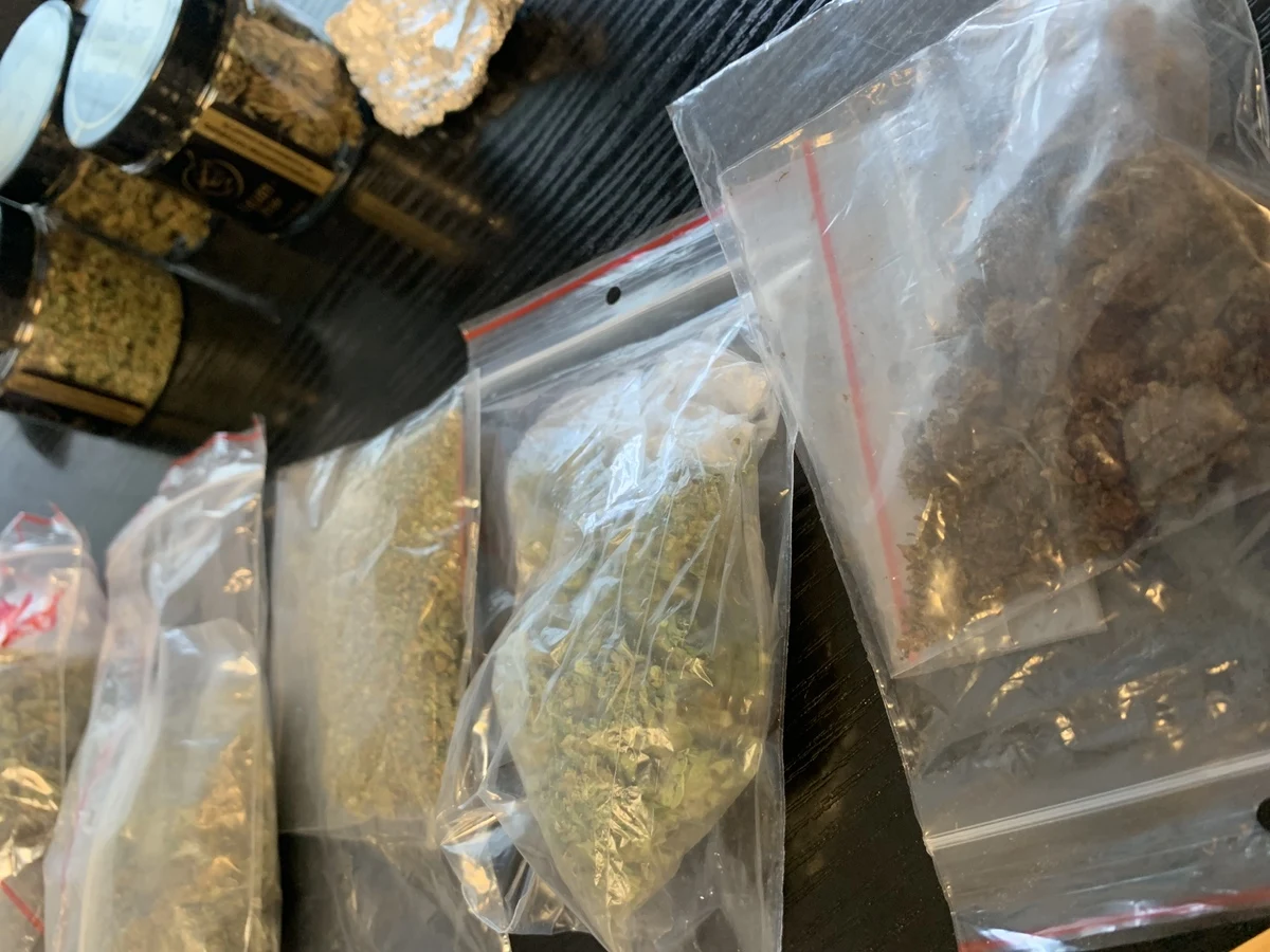 Funkcjonariusze wraz z psem policyjnym "Rubi" znaleźli narkotyki w plecaku, a także w mieszkaniu, 32-letniego mieszkańca powiatu leżajskiego (woj. podkarpackie). Mężczyźnie grozi nawet do 10 lat pozbawienia wolności.