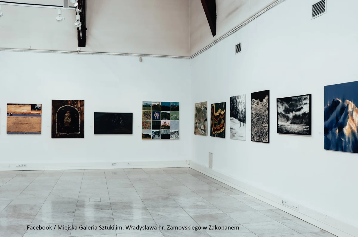 Otwartą w trakcie tegorocznej Nocy Muzeów w Miejskiej Galerii Sztuki – jednostce Zakopiańskiego Centrum Kultury - wystawę 3. Ogólnopolskiego Konkursu Malarskiego „Moje Zakopane” będzie można oglądać do 16 lipca. Zobaczcie zdjęcia z wernisażu.