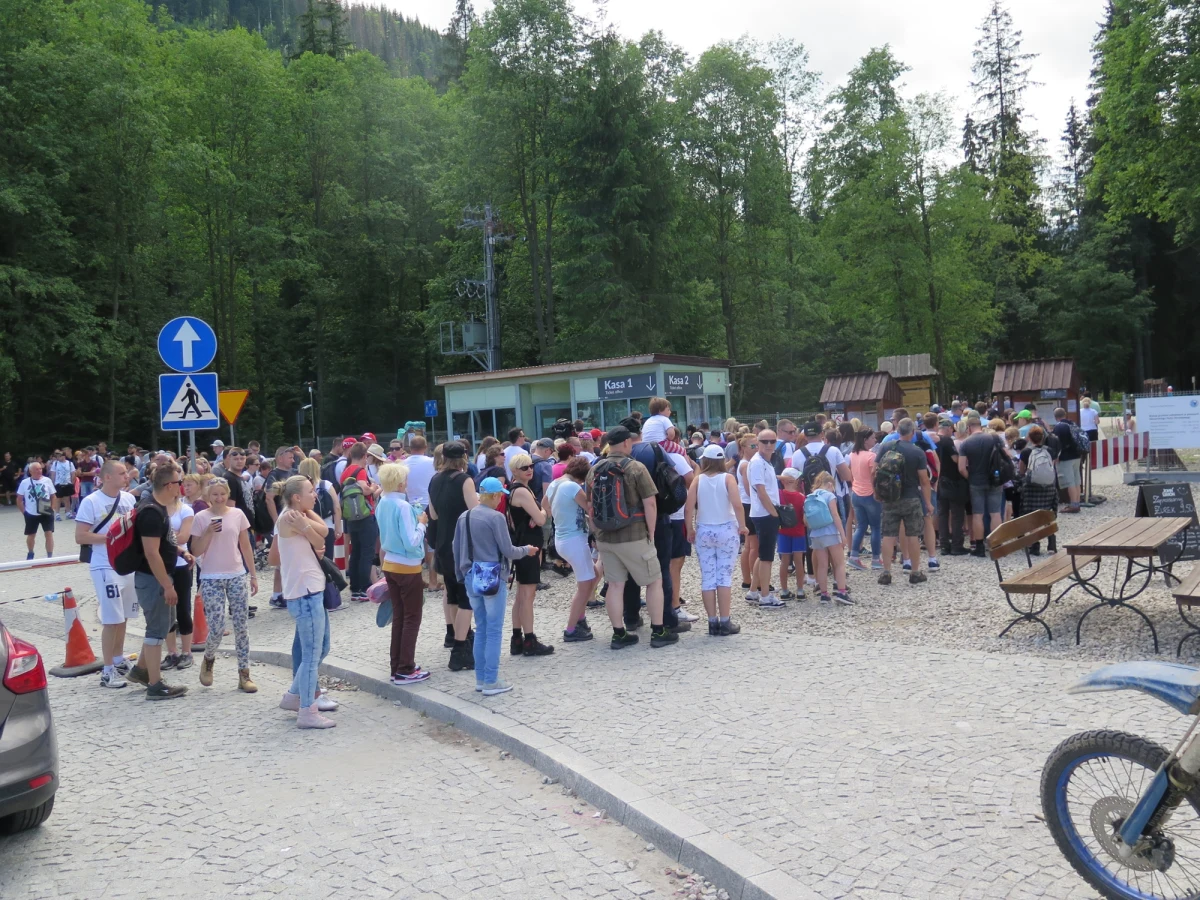 Po ubiegłorocznych testach hybrydowego wozu konnego ze wspomaganiem elektrycznym i wprowadzeniu koniecznych poprawek, pojazd od czerwca ponownie będzie testowany na trasie do Morskiego Oka. Jeżeli się sprawdzi, to wszystkie tradycyjne wozy służące do transportu turystów nad tatrzańskie jezioro, zastąpią pojazdy hybrydowe.