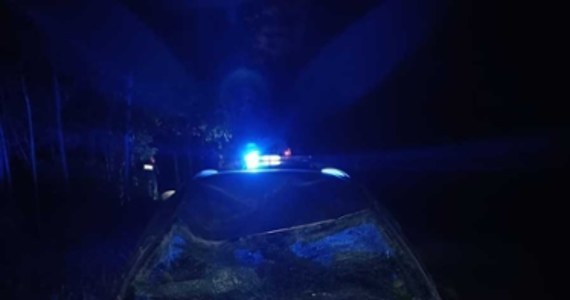 W miejscowości Zawóz na Podkarpaciu żubr wybiegł z lasu na drogę wprost pod koła samochodu, którym wracał do domu 29-letni mieszkaniec tej miejscowości. Po zderzeniu auto  wjechało do rowu. Lekko ranna została pasażerka. Zwierzę nie przeżyło - podała podkarpacka policja.

