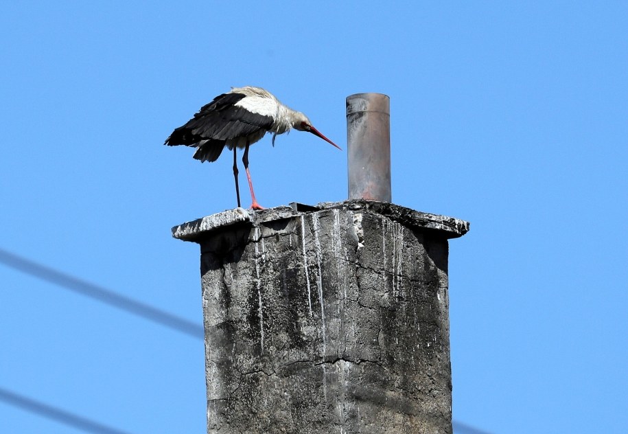 /Grzegorz Momot /PAP