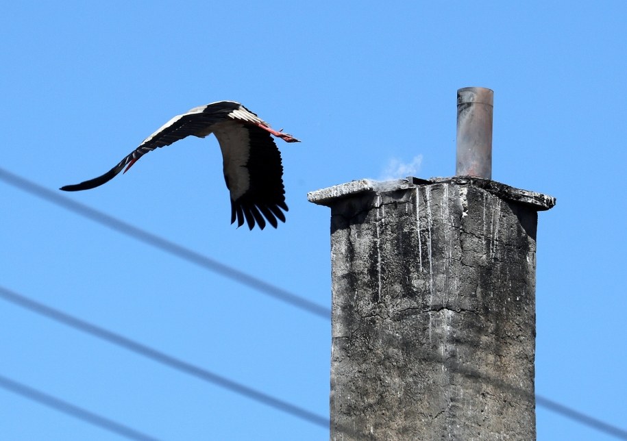 /Grzegorz Momot /PAP