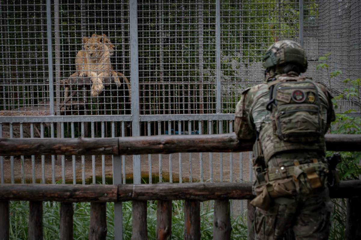 Rosyjscy okupanci próbują zorganizować w Mariupolu tournée prasowe dla zagranicznych dziennikarzy. Przestrzegam przed udziałem w tego rodzaju propagandowych inscenizacjach, służących powielaniu kłamstw na temat Ukrainy - przekazał ukraiński minister kultury Ołeksandr Tkaczenko.