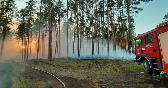 Upalna pogoda i kolejne dni bez deszczu sprawiły, że niemal w całej Polsce obowiązuje najwyższy poziom zagrożenia pożarowego. Leśnicy apelują o ostrożność i proszą, by w razie zauważenia ognia natychmiast wzywać straż pożarną.