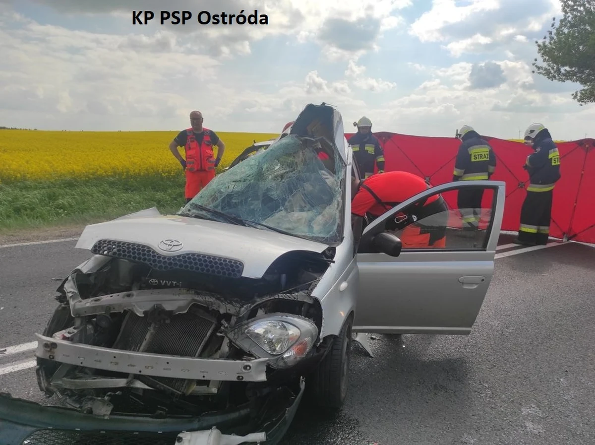 Dwie osoby podróżujące samochodem osobowym zginęły na skutek zderzenia z cysterną, do którego doszło na drodze krajowej nr 15 w pobliżu Lipowa (woj. warmińsko-mazurskie) - podała policja. Trasa jest już przejezdna.