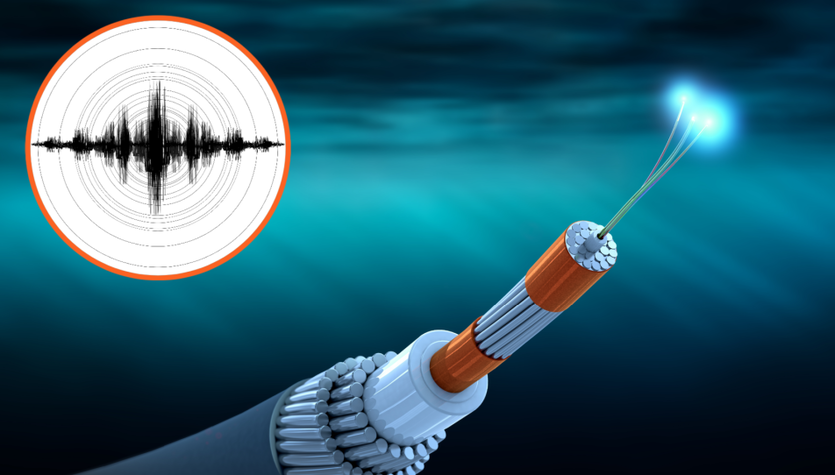 Las fibras ópticas submarinas se utilizan en sismógrafos.