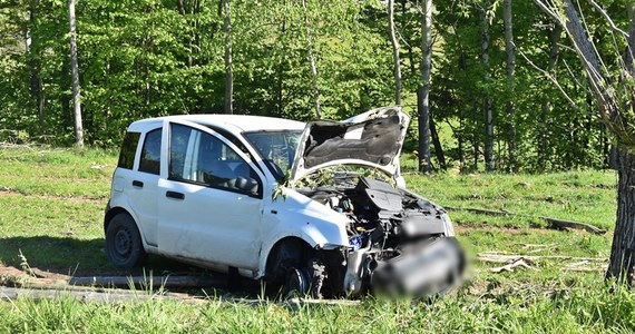 Do poważnie wyglądającego wypadku doszło w Łomnicy, w gminie Głuszyca, na Dolnym Śląsku. 41-letni mężczyzna uderzył samochodem w drzewo. Jak się okazało, kierowca był kompletnie pijany. Badanie wykazało ponad 3 promile alkoholu w jego organizmie. Trafił do szpitala.