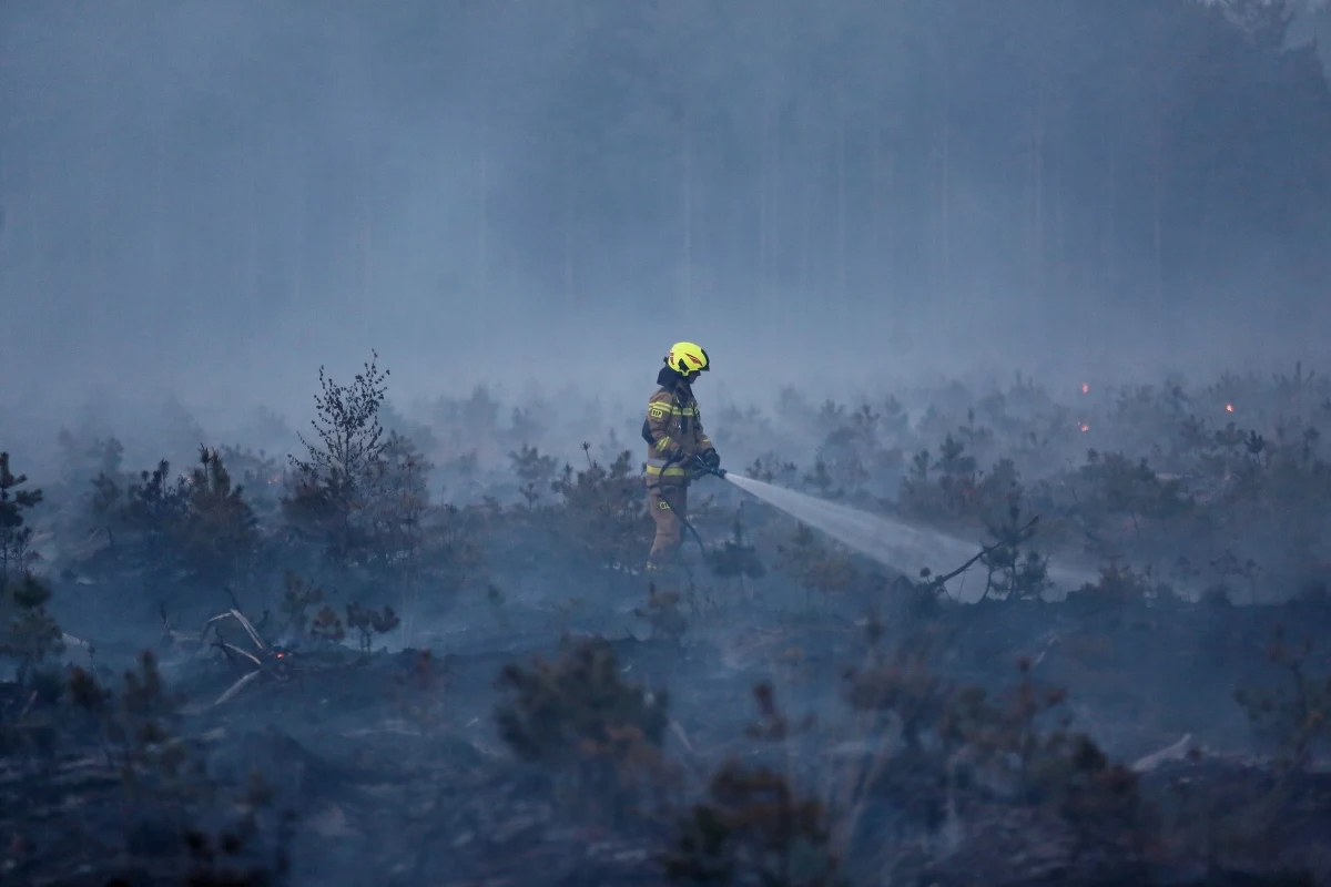Strażacy w dalszym ciągu prowadzą działania w rejonie pożaru w Miasteczku Śląskim, który wybuchł w sobotę, obejmując około 50 hektarów lasu i nieużytków. Na miejscu jest obecnie siedem zastępów strażaków, którzy dozorują ten obszar i dogaszają ewentualne zarzewia ognia - podaje dyżurny Komendy Wojewódzkiej Państwowej Straży Pożarnej w Katowicach.