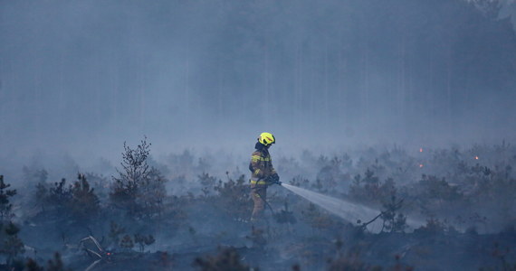 Strażacy w dalszym ciągu prowadzą działania w rejonie pożaru w Miasteczku Śląskim, który wybuchł w sobotę, obejmując około 50 hektarów lasu i nieużytków. Na miejscu jest obecnie siedem zastępów strażaków, którzy dozorują ten obszar i dogaszają ewentualne zarzewia ognia - podaje dyżurny Komendy Wojewódzkiej Państwowej Straży Pożarnej w Katowicach.