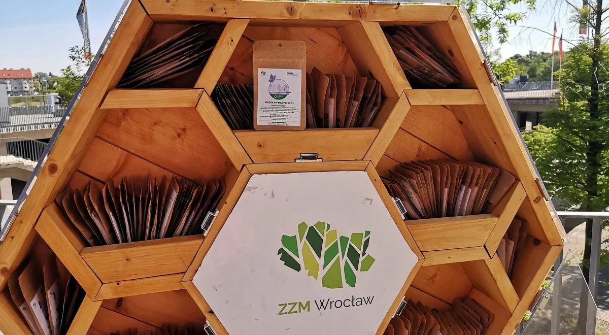 Wrocławski Zarząd Zieleni Miejskiej rozdaje mieszkańcom nasiona roślin miododajnych. Można je zasiać na przykład w doniczce na balkonie. To część akcji "Wrocław dla pszczół".