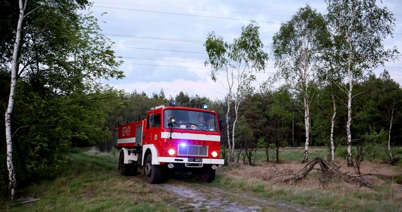 Strażacy wciąż patrolują las w Miasteczku Śląskim, gdzie w sobotę wybuchł pożar. Ogień objął ponad 50 hektarów lasu i nieużytków.