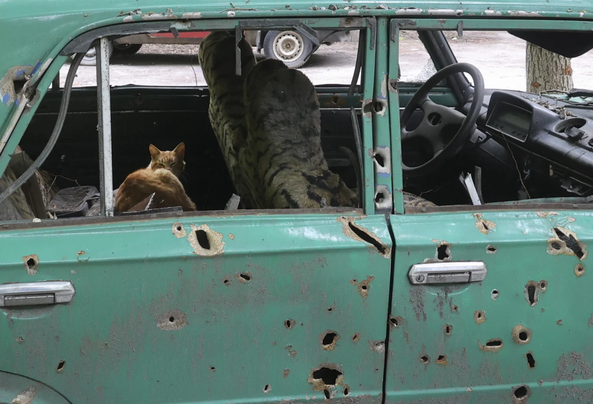 Na obszarach obwodu charkowskiego odbitych z rąk rosyjskich żołnierze ukraińscy zebrali dotąd ciała 63 poległych Rosjan. Zwłoki te mogą zostać wymienione na zabitych żołnierzy Ukrainy bądź tych, którzy trafili do niewoli - pisze w poniedziałek portal Hromadske.