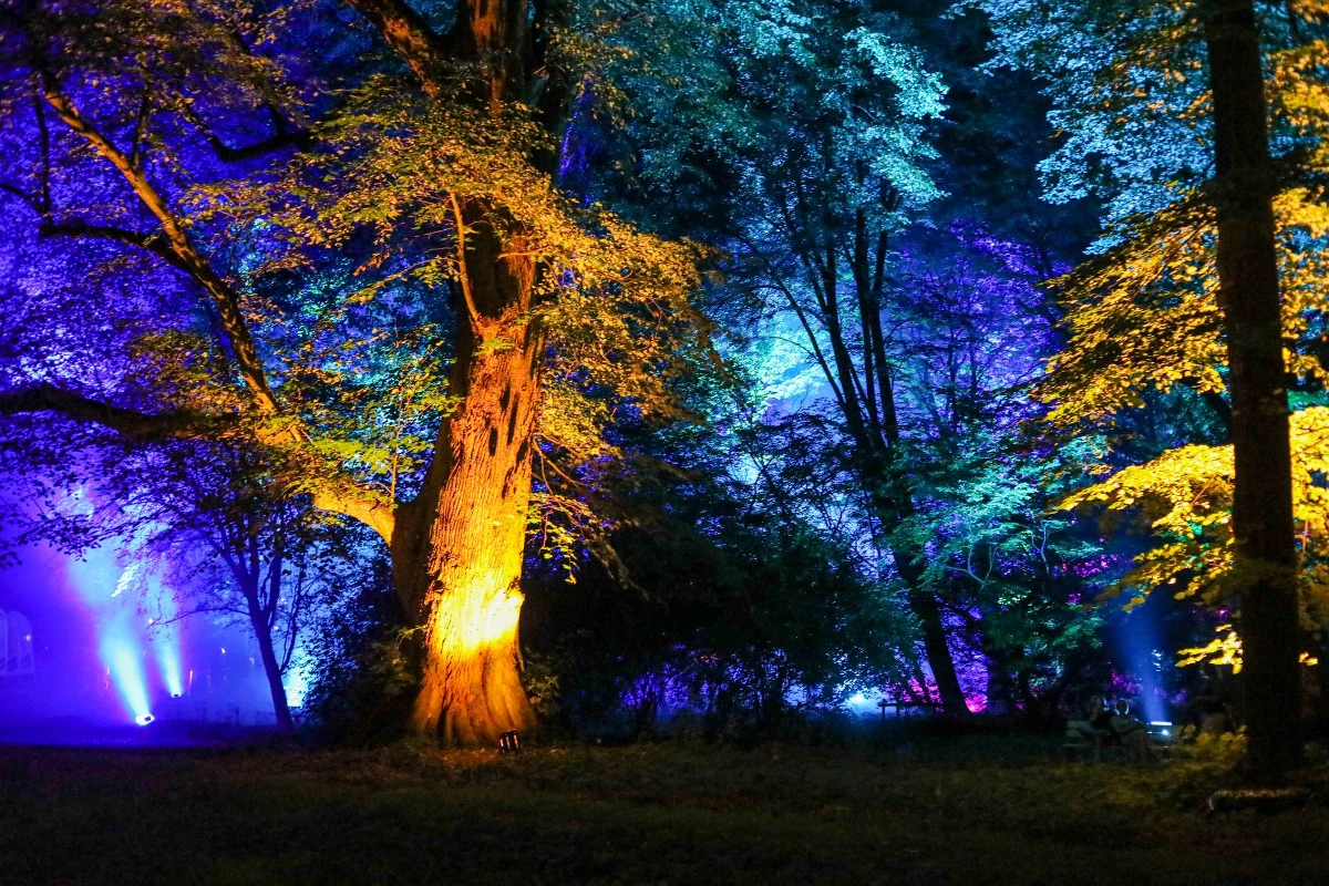 Twórców efektownego podświetlenia poszukuje Szczecin. W połowie sierpnia odbędzie się kolejna edycja festiwalu iluminacji. Artyści, inżynierowie i light designerzy mogą zyskać przestrzeń do prezentacji swoich umiejętności.