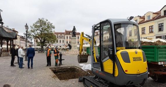 Ruszyły przygotowania do posadzenia nowego drzewa na rzeszowskim Rynku. Ma ono zastąpić zniszczoną w ubiegłym roku przez wichurę akację. 