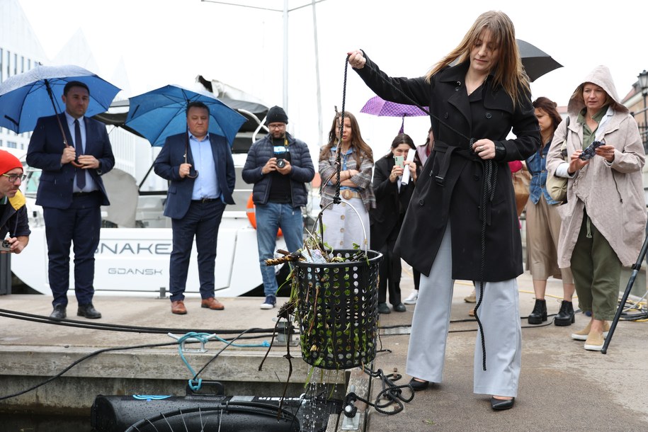 /Fot. Dominik Paszliński, gdansk.pl /Materiały prasowe