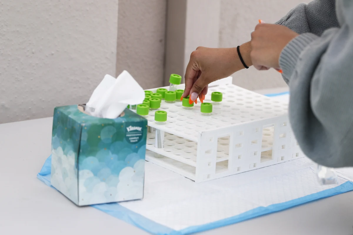 284 zakażenia koronawirusem, w tym 28 ponownych, oraz sześć zgonów - to bilans ostatniej doby w Polsce w związku z pandemią COVID-19. 