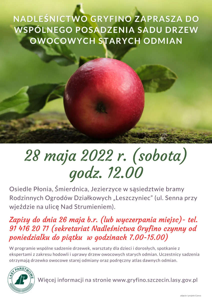 Drzewa owocowe starych odmian znajdą się w sadzie, jaki w sobotę zostanie posadzony na obrzeżach Szczecina. Nowa "owocowa oaza" powstanie na gruntach Nadleśnictwa Gryfino, które zaprasza do pomocy w założeniu sadu.