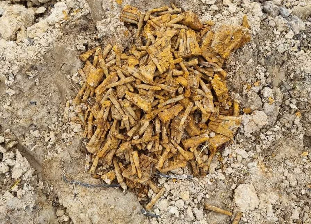 Ponad 1000 sztuk nabojów i łusek z czasów I wojny światowej znaleziono w Bistuszowej w gminie Ryglice (woj. podkarpackie) w trakcie prac przygotowawczych pod budowę domu jednorodzinnego.