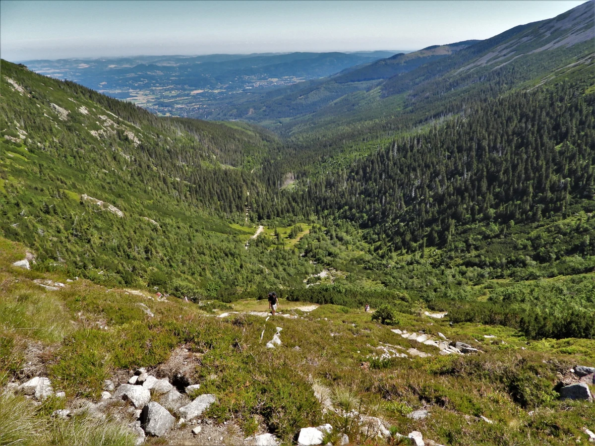 Jeżeli ktoś szuka pomysłu,  jak spędzić najbiższy weekend dobrą propozycją może być wycieczka w góry. Na przykład w Karkonosze. Karkonoski Park Narodowy otwiera dla turystów letnie szlaki. Od dziś dostepny jest szlak czerwony przez Kocioł Łomniczki pod Śnieżką.