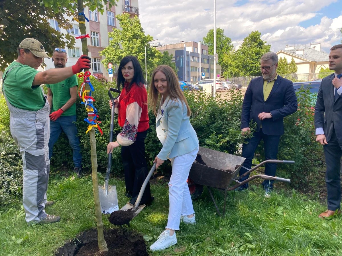 ​Klon polny, symbol wdzięczności ukraińskich matek dla matek z Polski, został posadzony na skwerze Tarasa Szewczenki w Warszawie, niedaleko Ambasady Ukrainy w Polsce. Drzewo zasadzono w Dniu Matki. Właśnie tego dnia kobiety z Ukrainy chciały podziękować Polkom za serdeczność i opiekę, jakiej doświadczają one i ich bliscy, uciekający przed wojną.