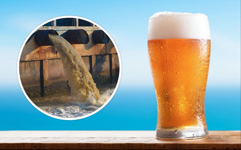Czy piwo produkowane na bazie wody ściekowej może pomóc w rozwiązaniu problemu niedoboru wody? Singapurska agencja wodna postanowiła to sprawdzić, warząc na niej własny trunek rzemieślniczy. Efekt? Podobno bardzo smaczny. 