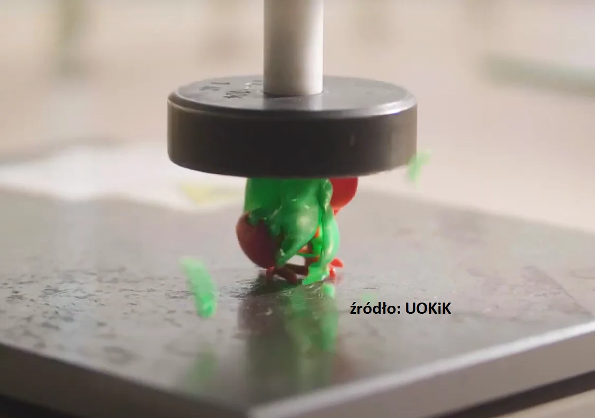 Prawie połowa zabawek dla dzieci poniżej 3 lat nie spełniała wymagań formalnych lub konstrukcyjnych. Podczas ostatniej kontroli sprawdzono 110 modeli - poinformował Urząd Ochrony Konkurencji i Konsumentów (UOKiK). 