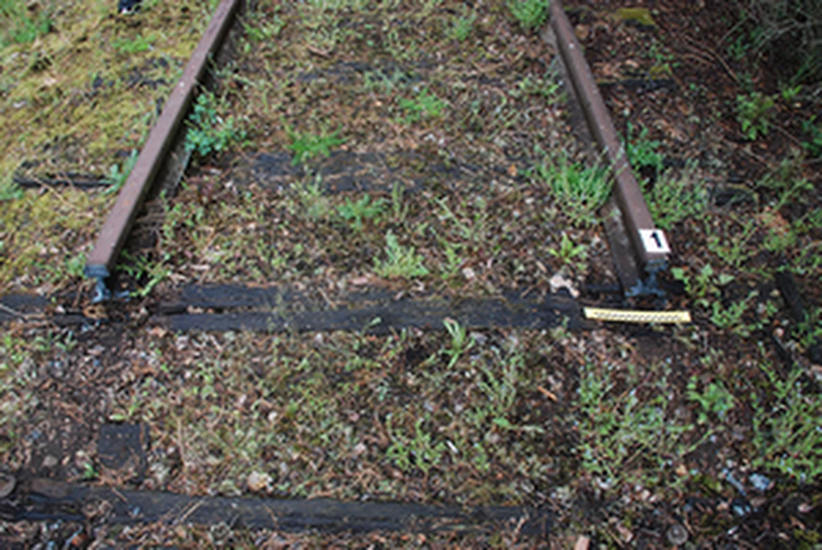 Policjanci z Bytowa na gorącym uczynku zatrzymali 39-latka, który kradł szyny z nieczynnych linii kolejowych. Mężczyzna miał sprzęt potrzebny do demontażu metalowych elementów. Przyznał się do zarzucanych czynów, grozi mu do pięciu lat więzienia.

 
