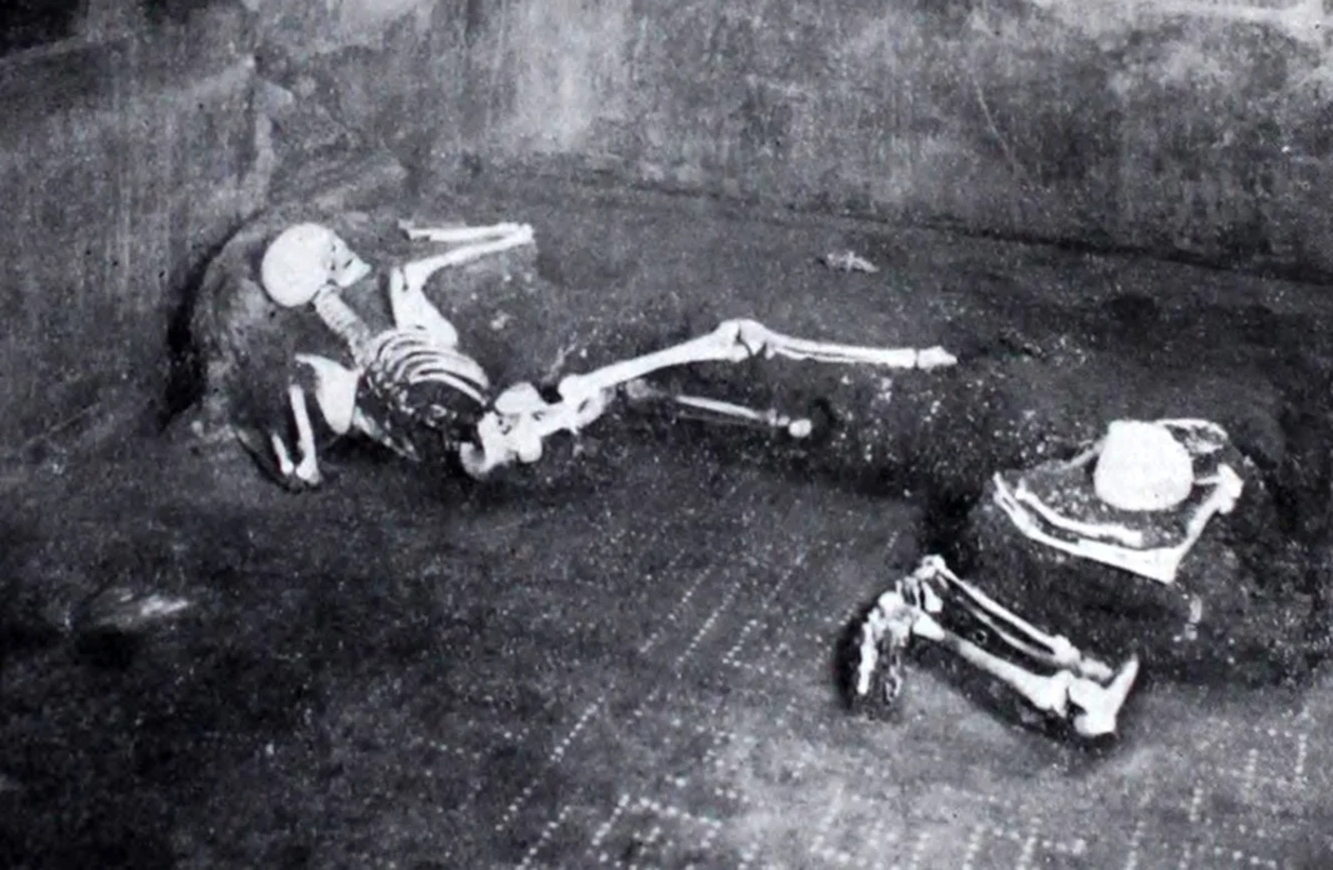 Naukowcy po raz pierwszy zbadali genom ofiary wybuchu Wezuwiusza, który w 79 roku zniszczył Pompeje. To mężczyzna w wieku około 35-40 lat, pochodzący prawdopodobnie z Sardynii. Wiele wskazuje na to, że chorował na gruźlicę. 