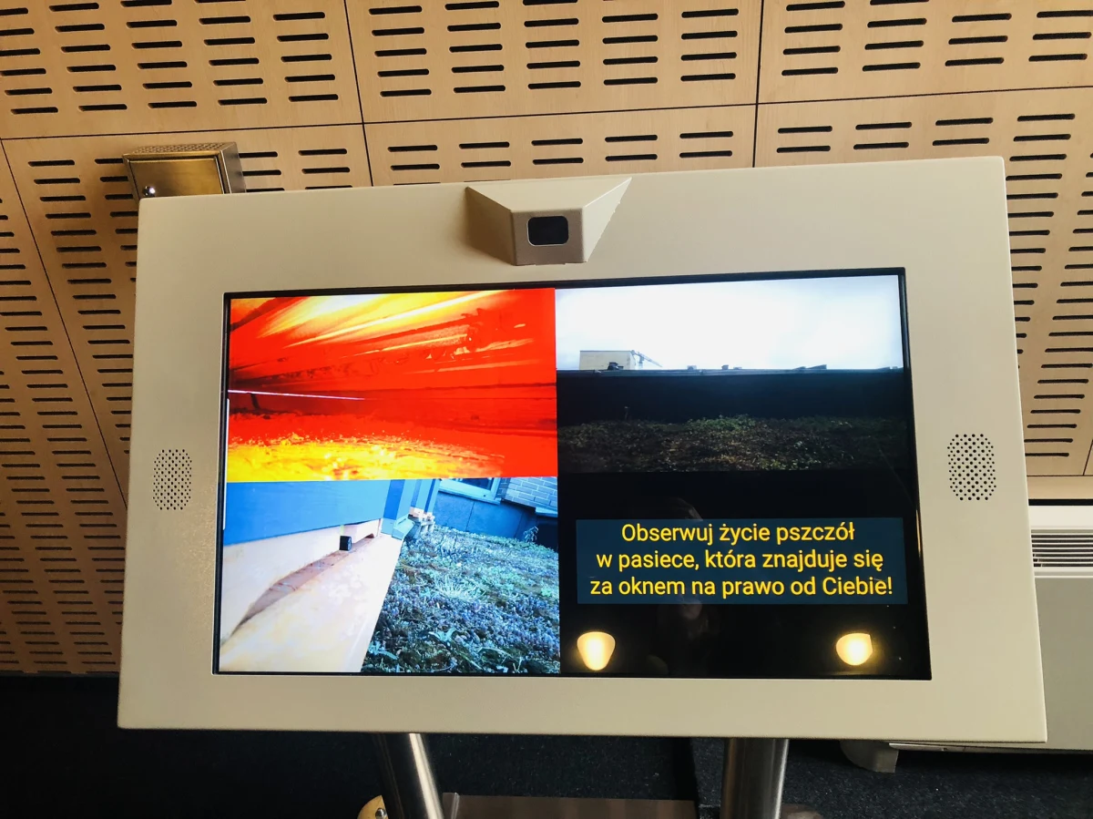 Właśnie ruszyła pszczela telewizja w Centrum Nauki i Techniki EC1 Łódź. Przez specjalne kamery można zajrzeć do wnętrza ula i na żywo podglądać pszczelą rodzinę. 