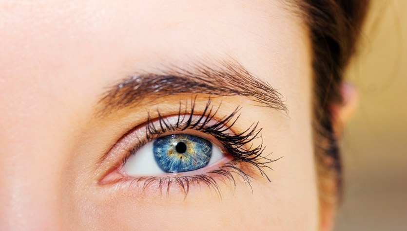 ¿De dónde vienen los colores de ojos en los humanos?  – a.  Siuzdak explica