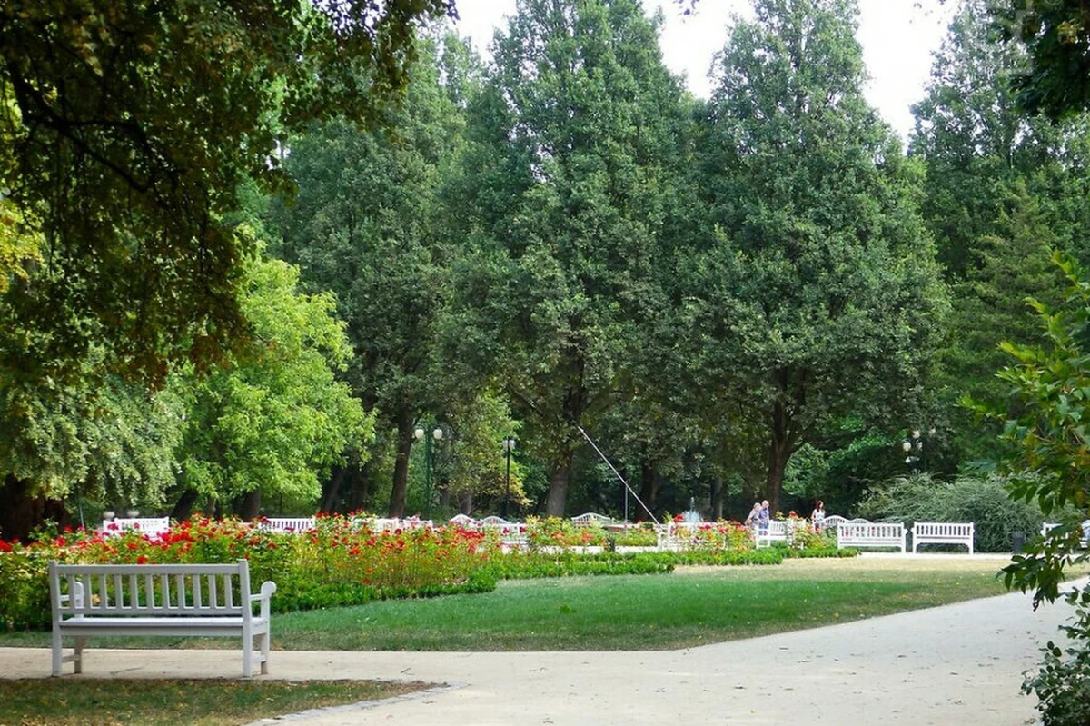 Warsztaty, spotkania z ornitologiem, pokazy filmów czy wystawa - między innymi takie atrakcje czekają na uczestników Festiwalu Przyrodniczego, który trwa w Lublinie. Jutro na zakończenie imprezy odbędzie się koncert muzyki filmowej.