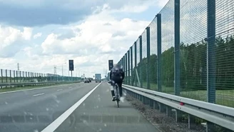 Mandat za jazdę rowerem drogą ekspresową. Chciał "skrócić sobie drogę"