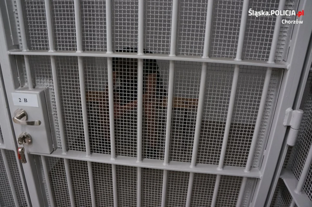 ​Siedmiu pseudokibiców zatrzymali policjanci w trakcie i tuż po niedzielnym meczu piłkarskim w Chorzowie pomiędzy drużynami miejscowego Ruchu i Motoru Lublin. Odpowiedzą oni m.in. za odpalenie podczas spotkania materiałów pirotechnicznych.