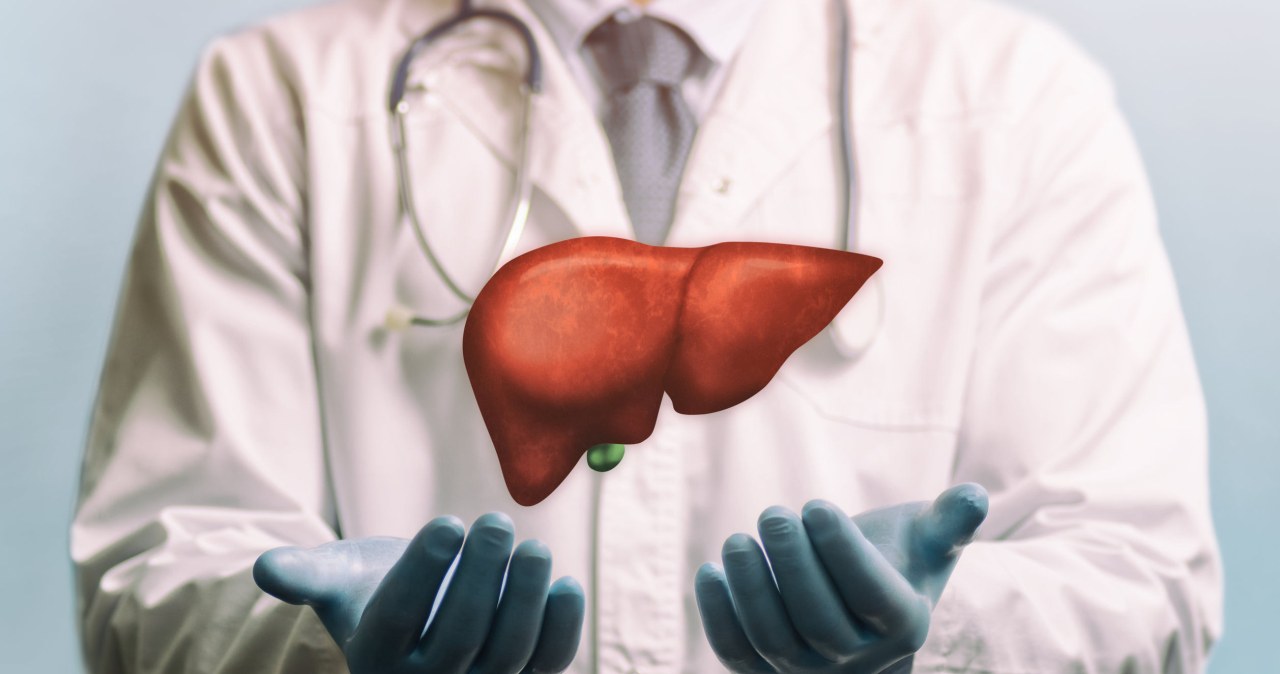 Przełom w transplantologii. Fragment wątroby 3D bez immunosupresji