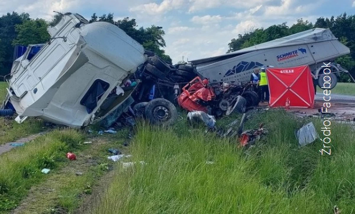 Śmiertelny wypadek na drodze krajowej numer 50 w Zbiroży na Mazowszu. Czołowo zderzyły się tam dwie ciężarówki.
