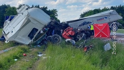 Czołowe zderzenie ciężarówek na krajowej "50". Nie żyje kierowca 