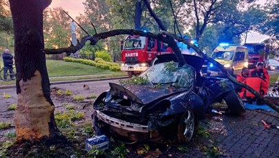 Porsche uderzyło w drzewo. Zginął 31-letni kierowca