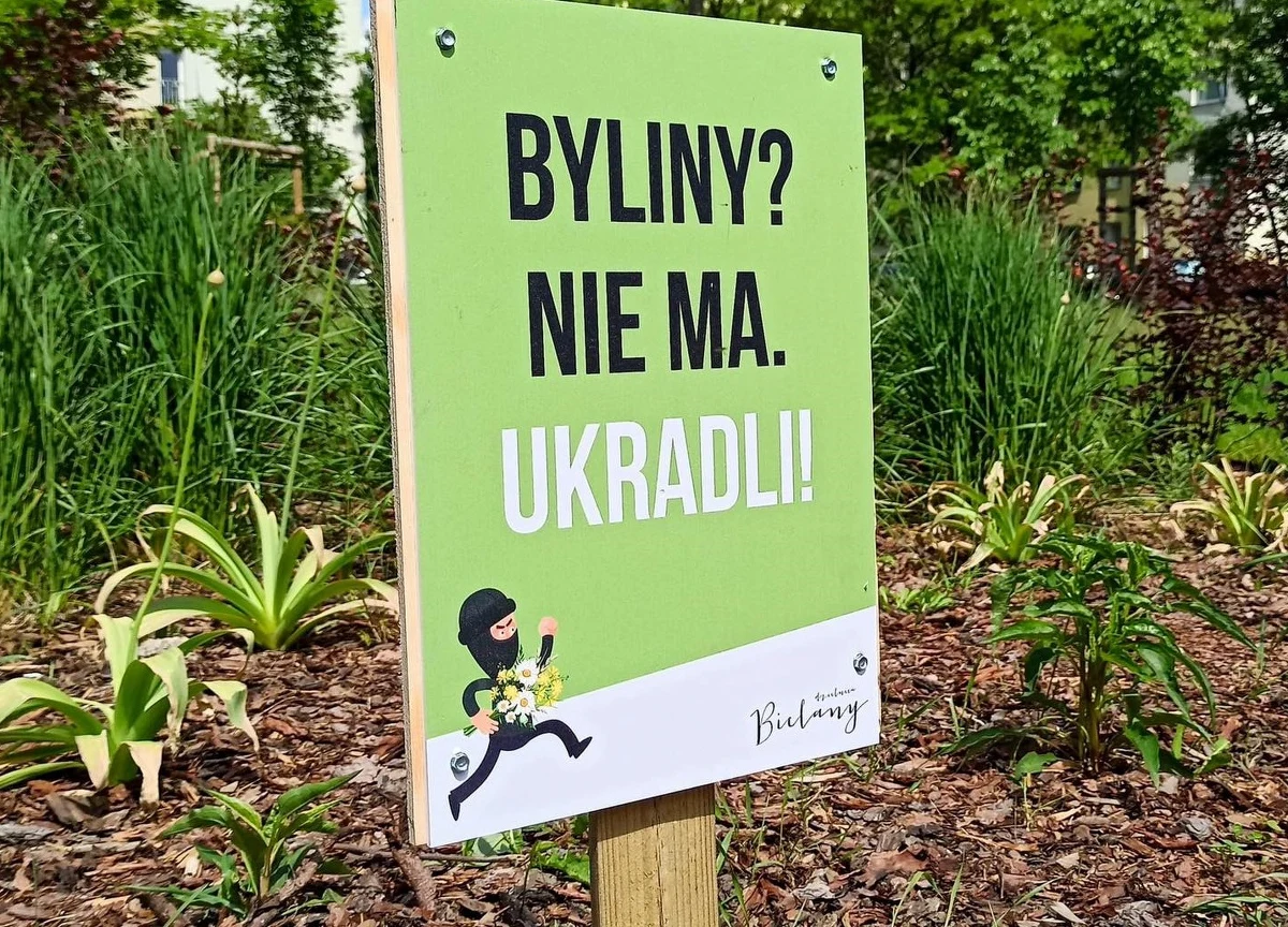 Na warszawskich Bielanach z podwórek, skwerów i parków znikają rośliny. Często dzieje się to nawet następnego dnia po posadzeniu. Burmistrz Bielan Grzegorz Pietruczuk rozpoczął właśnie akcję walki ze złodziejami. Na zieleńcach w miejscu skradzionych roślin wbijane są tabliczki z hasłem: "Byliny? Nie ma. Ukradli". W ten sposób burmistrz zamierza zwrócić uwagę na ten proceder mieszkańcom.