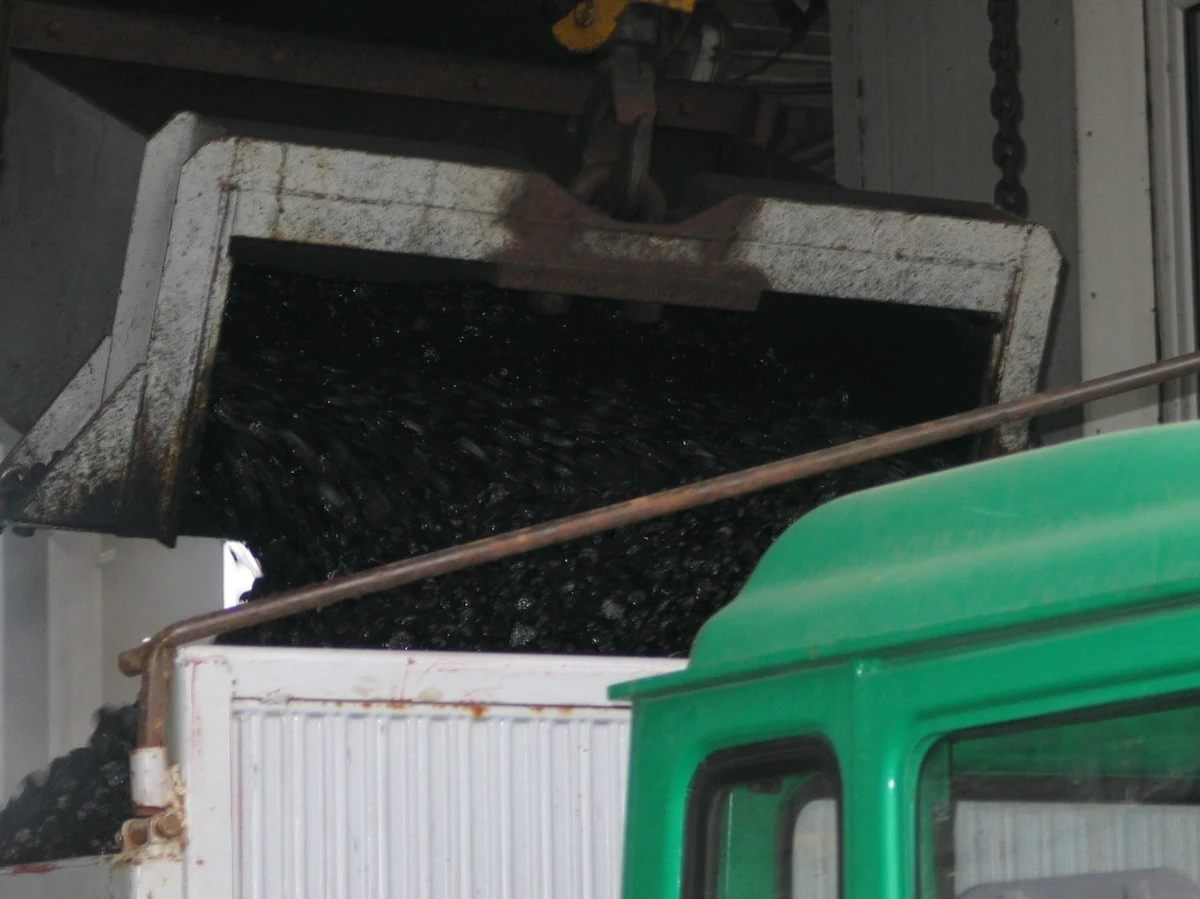 ​W czwartek sklep internetowy Polskiej Grupy Górniczej (PGG) sprzedał ponad 30 tys. ton węgla - najwięcej w swojej dotychczasowej historii. Rekordowa była też liczba transakcji. Węgiel w cenach producenta kupiło prawie 7 tys. klientów, wynika z danych górniczej spółki.