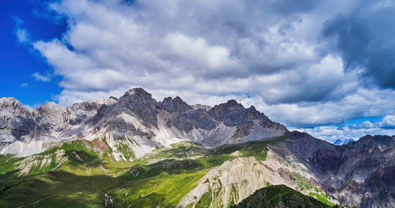 Globalne ocieplenie sprawiło, że białe Alpy stają się coraz bardziej zielone. Obszary pokryte roślinnością powyżej górnej linii lasu poszerzyły się od 1984 roku o 77 procent.
