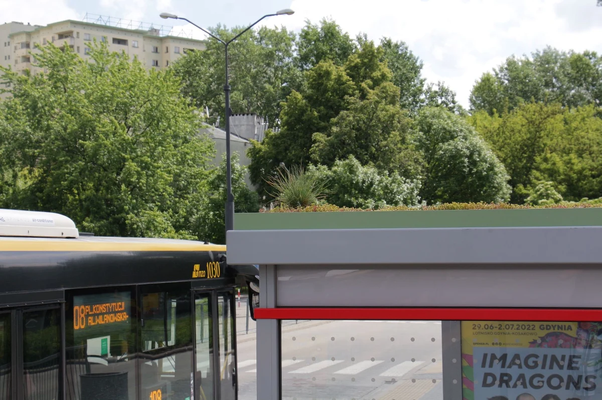 Kolejne wiaty przystankowe Warszawskiego Transportu Publicznego zazieleniły się w maju. W ramach budżetu obywatelskiego 2022, na pętli Metro Wilanowska na pięciu wiatach przystankowych został wyłożony rozchodnik.