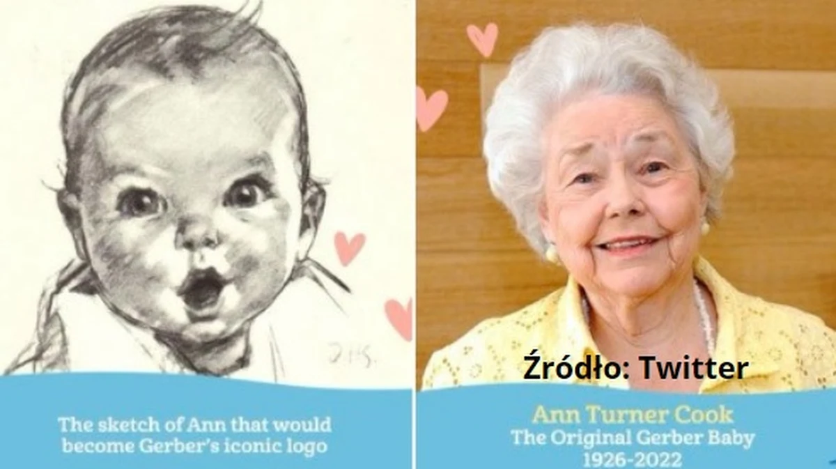 W wieku 95 lat Ann Turner Cook, znana jako "dziecko Gerbera" - poinformowała agencja AP. Jej wizerunek w wieku niemowlęcym został w 1931 roku wybrany na znak towarowy firmy Gerber i stał się rozpoznawalny na całym świecie.